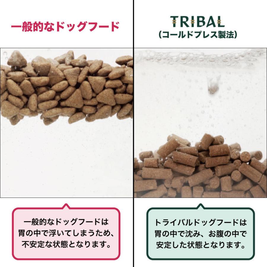 TRIBAL トライバル フレッシュダック スリム 5kg-