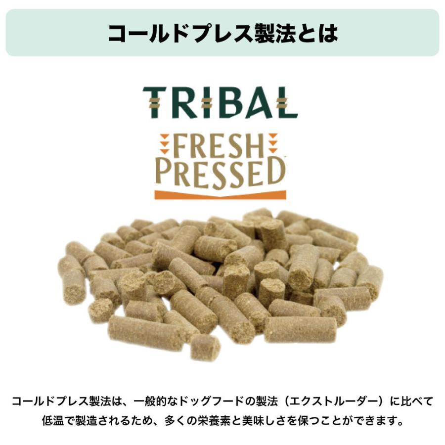 トライバル フレッシュチキン 12? TRIBAL 犬 ドッグフード 犬用