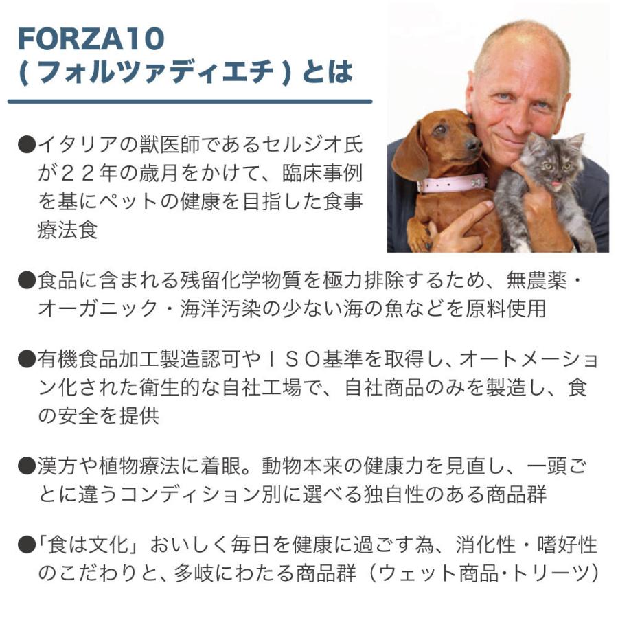 フォルツァ10 ナチュラルグルメ缶　 彩り豊かなササミとカボチャ かつお節入り FORZA10 FORZA10 フォルツァ10 プレミアムフォルツァ