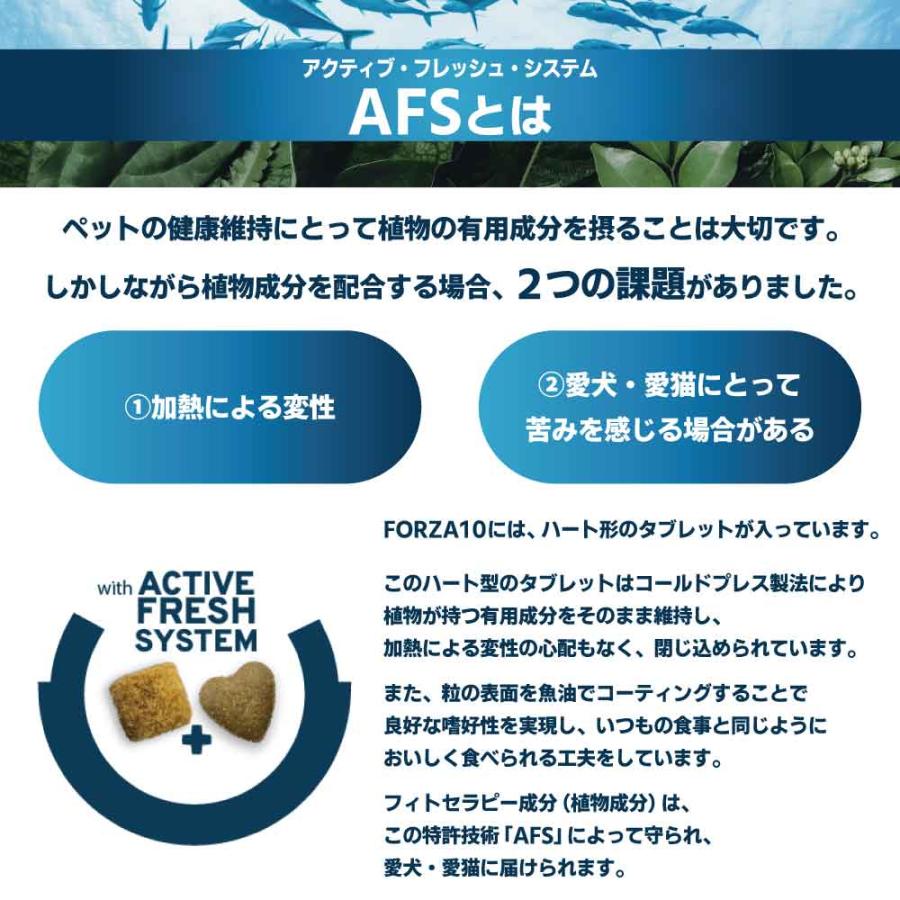 active（FORZA10） フォルツァ10 アクティブライン リナールアクティブ