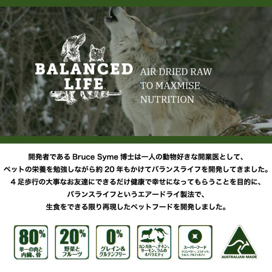 バランスライフ サーモン 3.5kg 犬 犬用フードドッグフード ペット フード 生食 低温乾燥 全年齢用 グレインフリー エアードライ 
