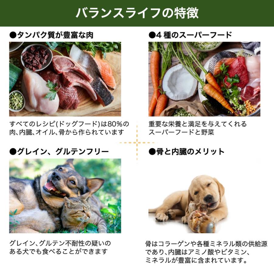 バランスライフ サーモン 3.5kg 犬 犬用フードドッグフード ペット フード 生食 低温乾燥 全年齢用 グレインフリー エアードライ 