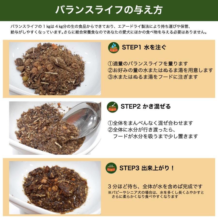 バランスライフ サーモン 3.5kg 犬 犬用フードドッグフード ペット フード 生食 低温乾燥 全年齢用 グレインフリー エアードライ 