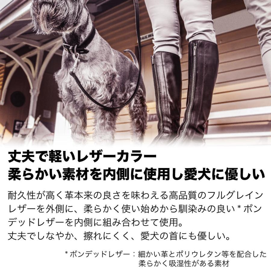 イージードッグ レザーカラー XXS 犬 首輪 犬用 カラー 本革 丈夫 散歩 お出かけ おしゃれ オックスフォード レザー 超小型犬 EZYDOG｜merland｜03