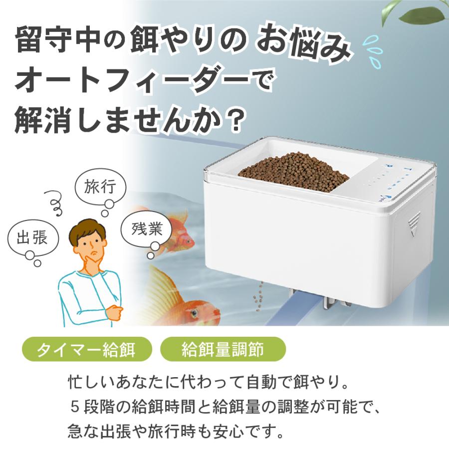わが家のアイドル アクアリウム オート フィーダー ミニ 魚 熱帯魚