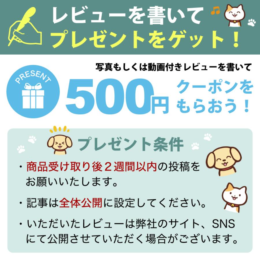 DAFI ダフィ SOLID ソリッド 携帯用 浄水ボトル 500ml ボトル型 浄水器 ハードタイプ 水筒 ろ過 マイボトル 【日本仕様・日本正規品】 | dafi | 24