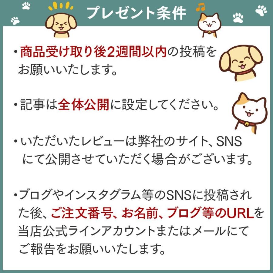 猫 犬 ペット 自動 給餌器 自動給餌器 タイマー 自動餌やり機 自動給餌機 自動餌やり器 ねこ いぬ お留守番対策 取扱説明書付 ごはんでるでる君｜merland｜20