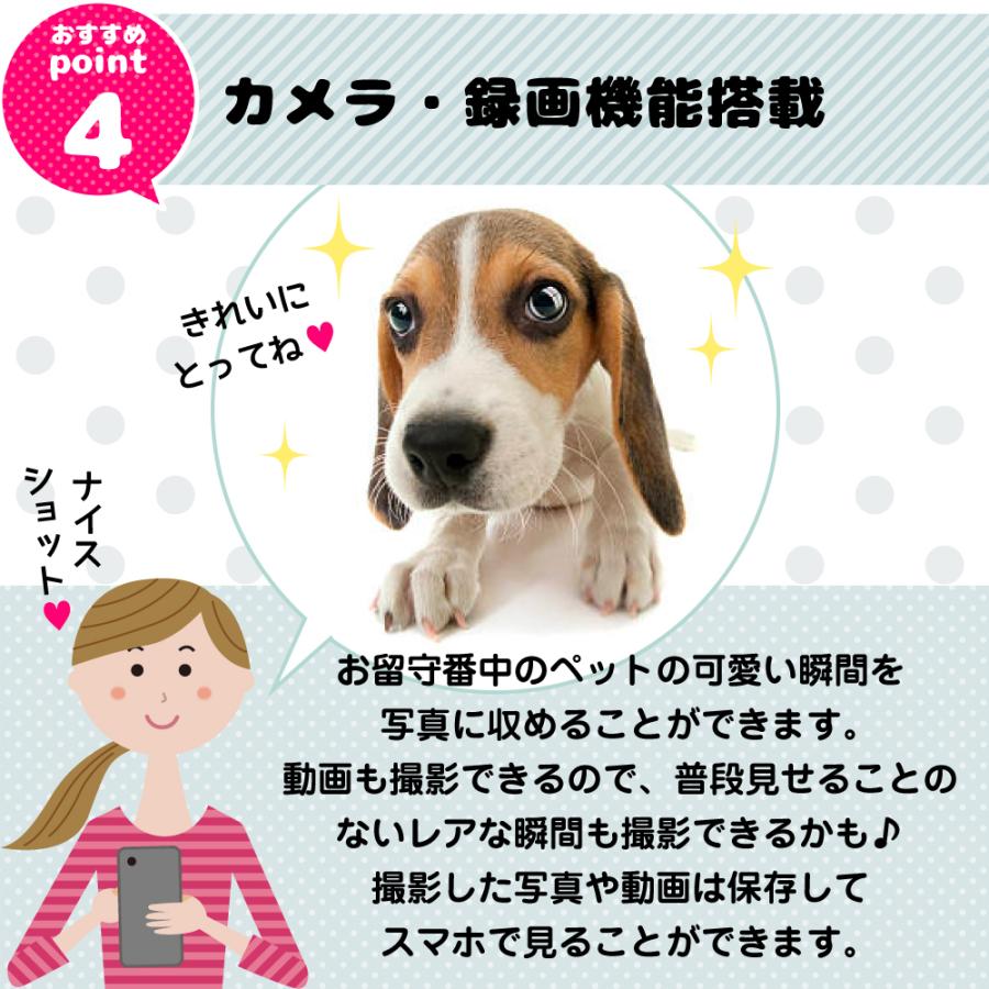 52 Off 自動給餌器 猫 犬 ペットカメラ Ai搭載 7p見守り 双方向会話 Ledポインター光線おもちゃ搭載 0 5l容量ペットフィーダー スマホで見れる 定時定量 遠隔操作 暗視機能 自動追跡 動体 音声検知 警報通知 全日録画 2 4g Wifi対応 アカウント共有 Android Ios対応