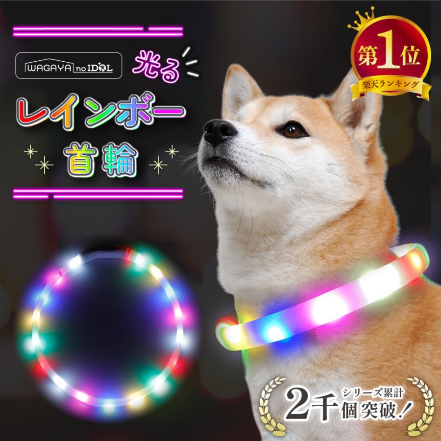 犬 光る首輪 光る ライト 首輪 レインボー首輪 猫 ペット カラー 光 虹色 6色 LED サイズ調整可能 充電 夜間 散歩 安全 防犯 事故防止 小型犬 中型犬 大型犬 の商品画像