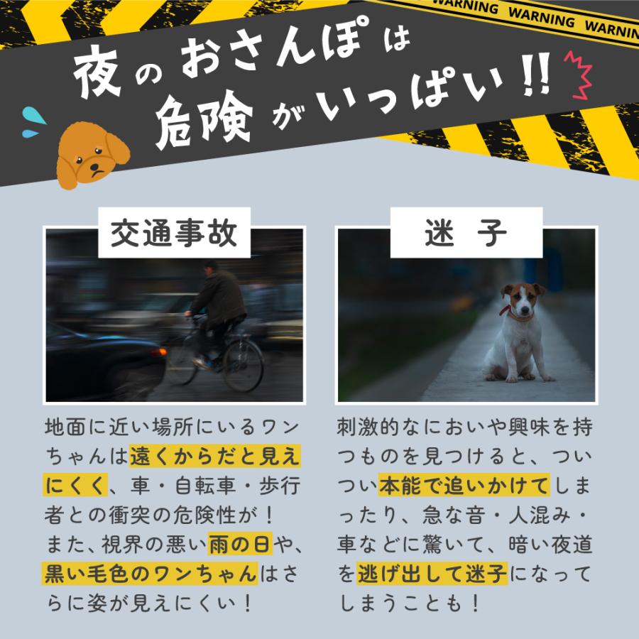 犬 光る首輪 光る ライト 首輪 レインボー首輪 猫 ペット カラー 光 虹色 6色 LED サイズ調整可能 充電 夜間 散歩 安全 防犯 事故防止 小型犬 中型犬 大型犬｜merland｜06