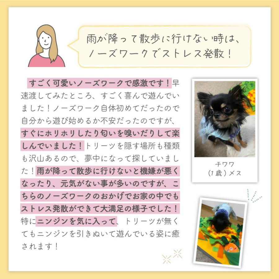 ノーズワーク マット にんじん畑 にんじん 犬 犬用 おもちゃ 知育玩具 運動不足 早食い防止 嗅覚訓練 音が鳴る ぬいぐるみ 手洗い可 小型犬 中型犬 大型犬｜merland｜04