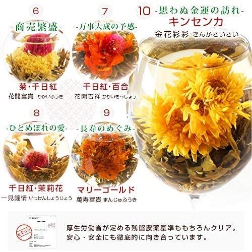母の日 工芸茶 セット 10種類 詰め合わせ 個包装 カーネーション茶 ジャスミン茶 花茶 中国茶 ジャスミンティー Mrk Uap16k3aj ミーロック 通販 Yahoo ショッピング