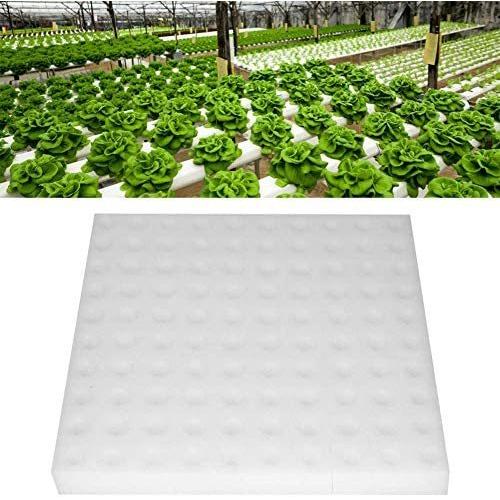 Xuuyuu 水耕栽培スポンジ 水耕栽培 葉菜用培地 スポンジ 土壌なし 種子植物 植物 保育園 植え スポンジ 除草ツール 家庭 室内 菜園 培地 Mrk Usp29h5jb ミーロック 通販 Yahoo ショッピング