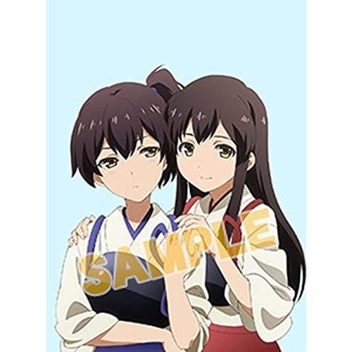 手数料安い 劇場版 艦これ ゲーマーズ特典 タペストリー 赤城 加賀 保存版 Zoetalentsolutions Com