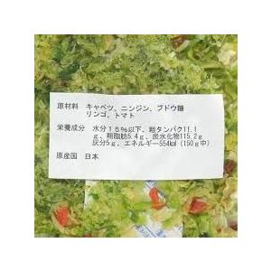 犬のおやつ 低カロリー フリーズドライ 愛犬の野菜 赤のミックス 150ｇ 野菜 ダイエット 自然食 補助食 ベジタブル 野菜ミックス 犬 ペットスクエアジャパン | ブランド登録なし | 01
