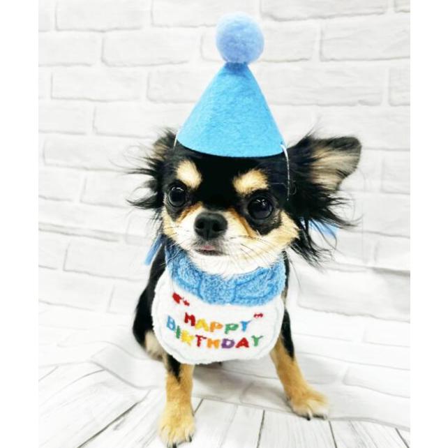 LIFELIKE（ライフライク） 犬 誕生日 ハッピー バースデー スタイ 三角