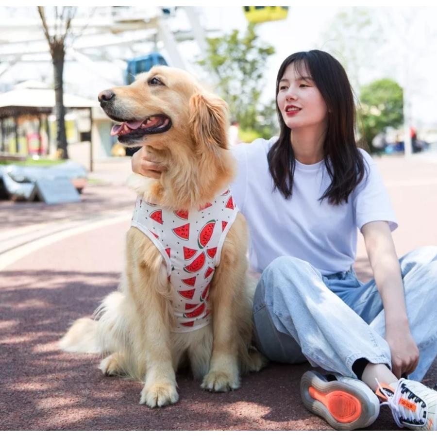 日本初の タンク スイカ 子犬 犬服 トイプードル チワワ 小型犬 中型犬 大型犬 可愛い Tシャツ 夏服 安い 春 夏 春夏 Aynaelda Com