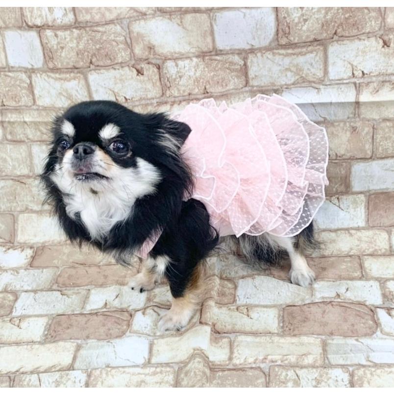 フリフリドレス ワンピース フワフワ 子犬 犬服 トイプードル チワワ 小型犬 中型犬 大型犬 可愛い Tシャツ 夏服 春 夏 春夏 Petshop Merrily 通販 Yahoo ショッピング