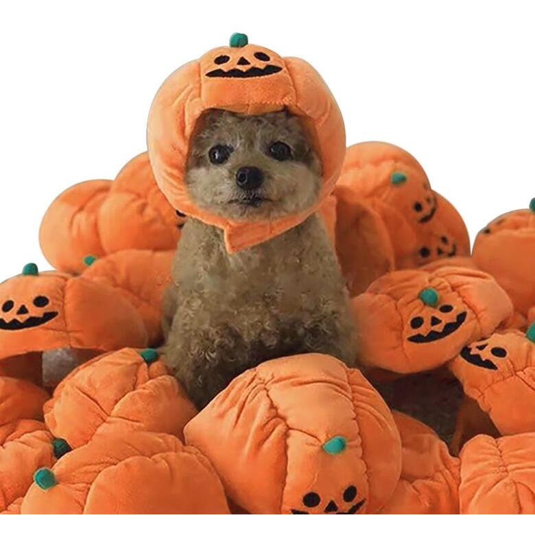かぼちゃ ハロウイン わんこの帽子 犬の帽子 変身帽子 コスプレ帽子 犬用帽子 洋服 わんこのコスプレ ハロウィン パンプキン ジャックオランタン | ブランド登録なし