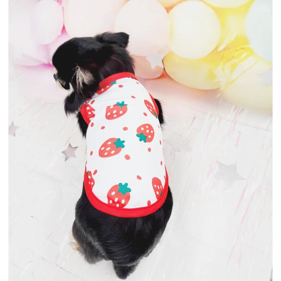 犬服 L わんこの普段着 ミニいちご 犬服・アクセサリー