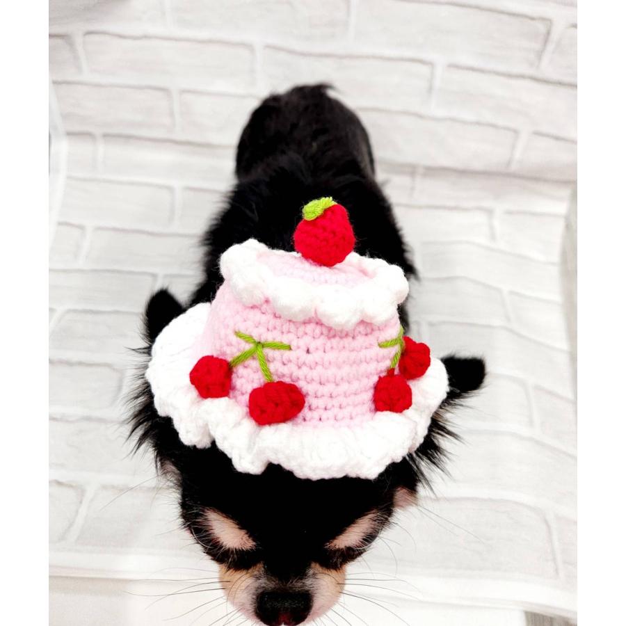 犬の帽子 犬 変身帽子 ニット帽 ケーキ帽子 苺帽子 くまさん帽子 服