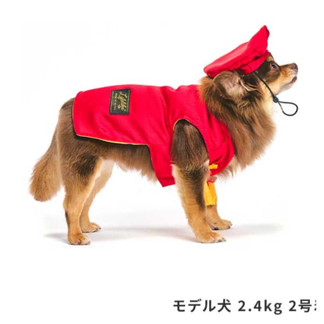 還暦お祝いセット 犬 お祝い 赤いちゃんちゃんこ 犬用 犬服 ライフ