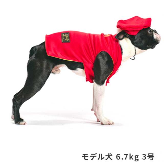 還暦お祝いセット 犬 お祝い 赤いちゃんちゃんこ 犬 犬用 犬服 ライフライク 老犬 写真撮影 小型犬 中型犬  犬の服 ちゃんちゃんこ わんこ | ブランド登録なし | 03