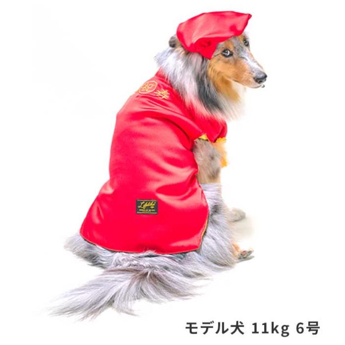 還暦お祝いセット 犬 お祝い 赤いちゃんちゃんこ 犬 犬用 犬服 ライフライク 老犬 写真撮影 小型犬 中型犬  犬の服 ちゃんちゃんこ わんこ | ブランド登録なし | 05