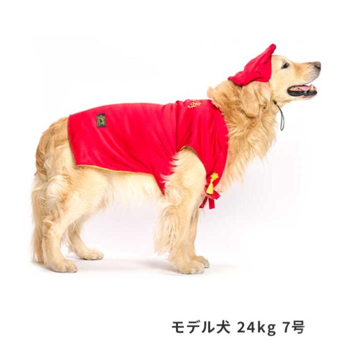 還暦お祝いセット 犬 お祝い 赤いちゃんちゃんこ 犬 犬用 犬服 ライフライク 老犬 写真撮影 小型犬 中型犬  犬の服 ちゃんちゃんこ わんこ | ブランド登録なし | 06
