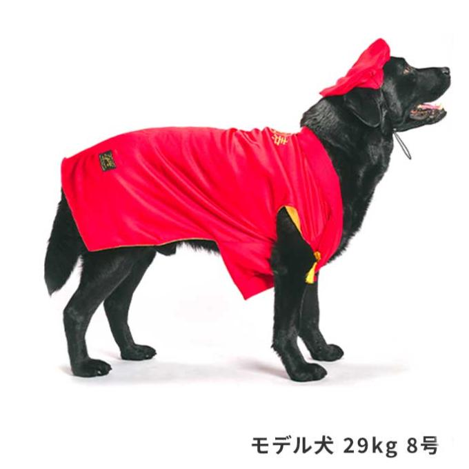 還暦お祝いセット 犬 お祝い 赤いちゃんちゃんこ 犬 犬用 犬服 ライフライク 老犬 写真撮影 小型犬 中型犬  犬の服 ちゃんちゃんこ わんこ | ブランド登録なし | 07