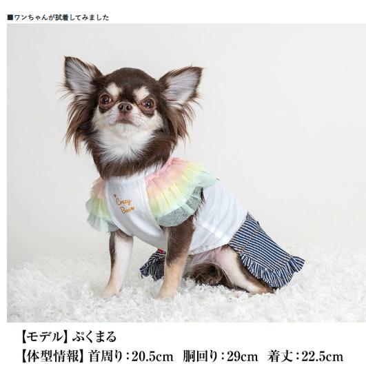 犬の服 キラキラトロピカルワンピ オフホワイト CRAZYBOO ワンピース