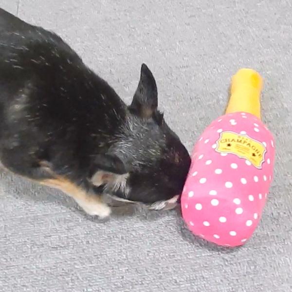 犬のおもちゃ ＲＥＡＬ シャンパン お祝い 鳴る パーティー 小型犬 中型犬 大型犬 遊ぶ お酒 酒 スパークリング | ブランド登録なし | 03