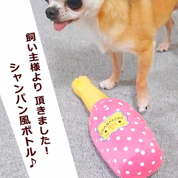 犬のおもちゃ ＲＥＡＬ シャンパン お祝い 鳴る パーティー 小型犬 中型犬 大型犬 遊ぶ お酒 酒 スパークリング | ブランド登録なし | 01