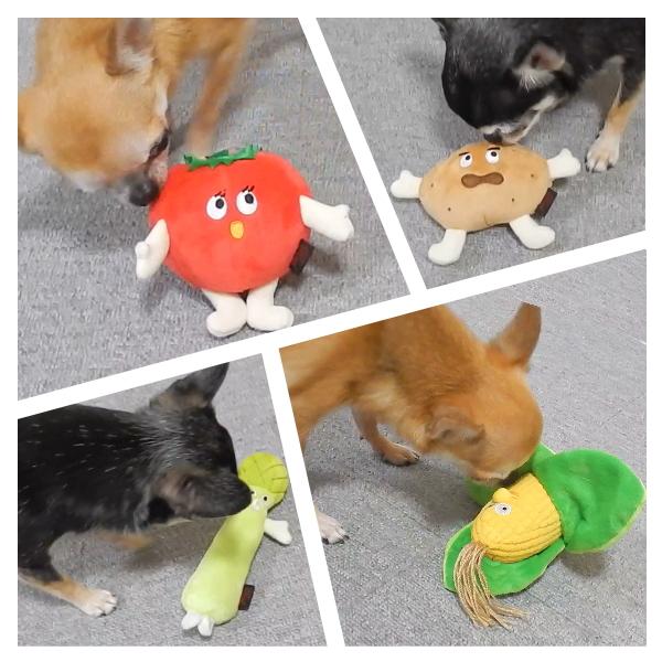 おやさい おもちゃ 犬 犬用 ぬいぐるみ ベジタブル vegetables トマト