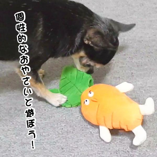 おやさい おもちゃ 犬 犬用 ぬいぐるみ ベジタブル vegetables トマト