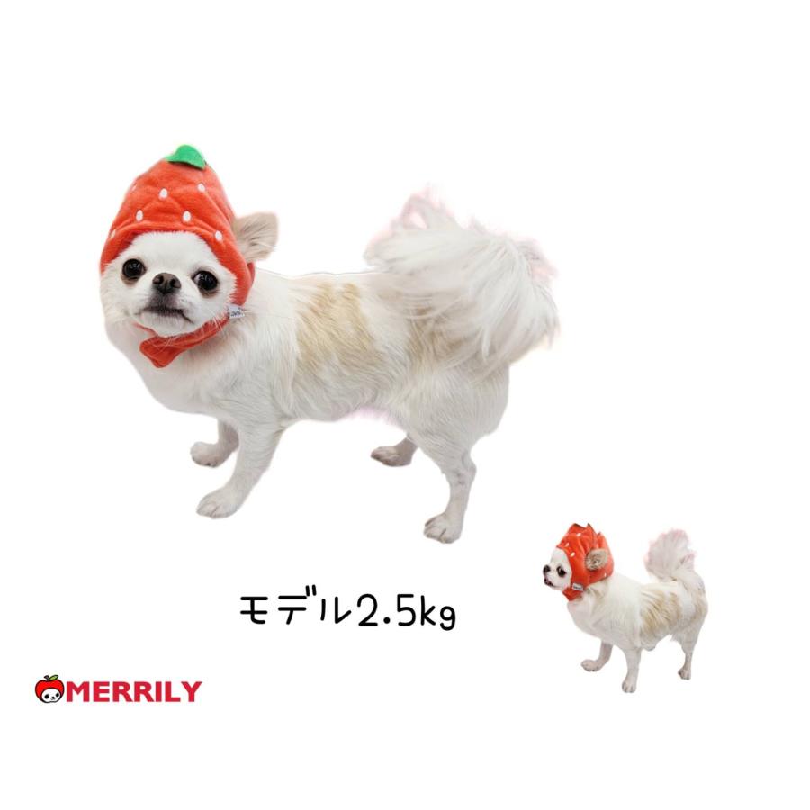 苺 帽子犬 ペット 小型犬 犬用 被り物 キャップ 犬帽子 犬の帽子 犬用