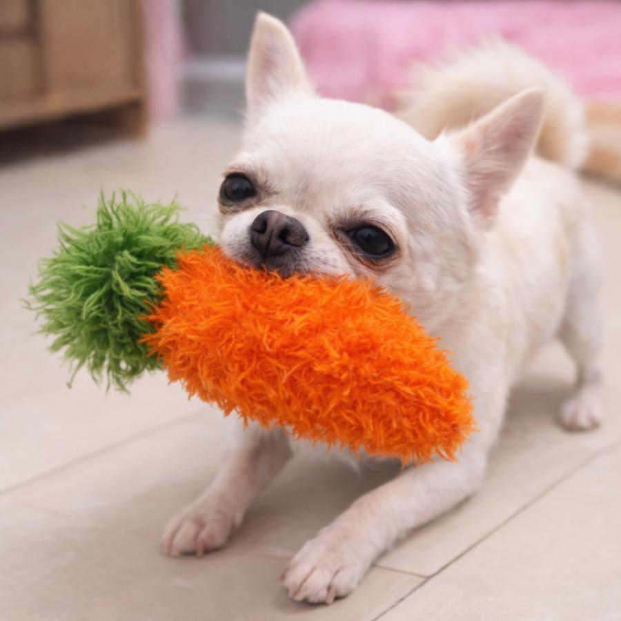 犬 デンタル おもちゃ オーマ・ロー 犬のおもちゃ オーマロー 歯みがき