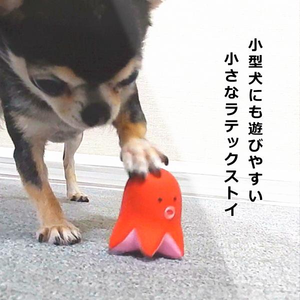 Petio（ペティオ） ラテックストイ 犬のおもちゃ おべんTOY 犬用