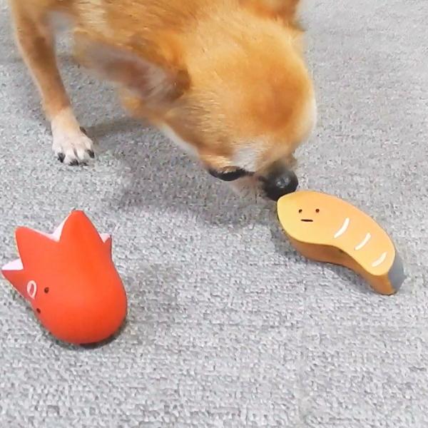 Petio（ペティオ） ラテックストイ 犬のおもちゃ おべんTOY 犬用