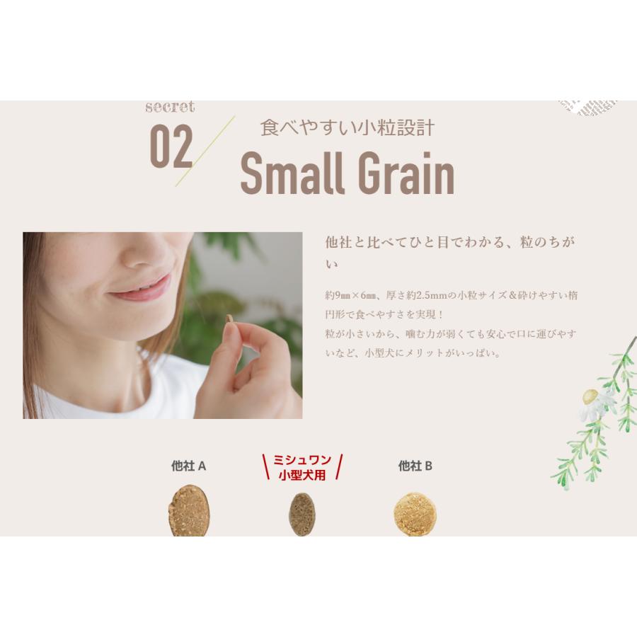 ミシュワン ドッグフード MISHONE 小型犬用 1kgx2袋 全年齢