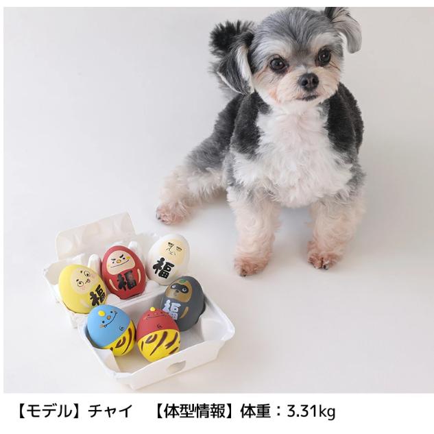 たまごおもちゃ 犬 おもちゃ 鳴る 音 ラテックス 卵型 小型犬 ペット