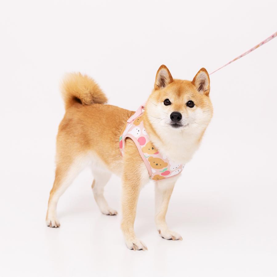 ミッフィー ハーネス 犬用ハーネス リード miffy リンゴ柄 りんご 胴輪