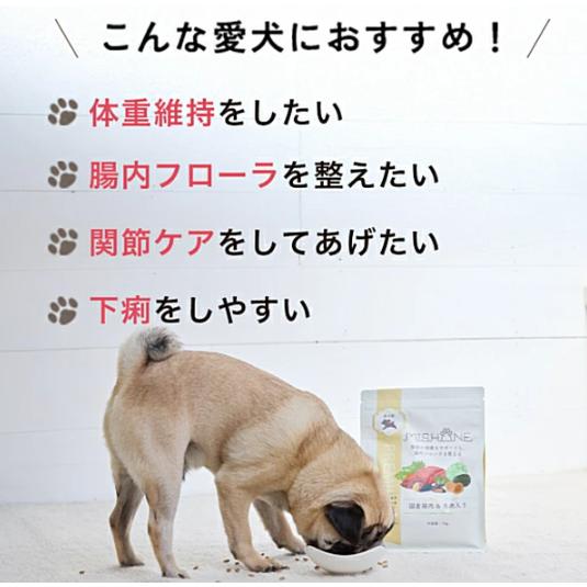 ミシュワン ドッグフード MISHONE 小型犬用 全年齢対応 馬肉