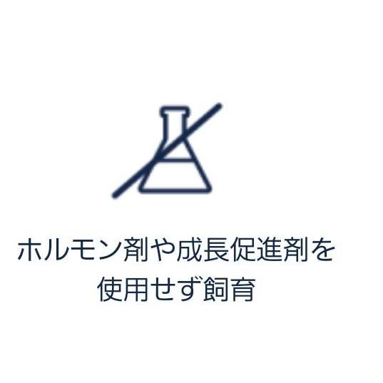 犬用おやつ 犬 おやつ ガム 歯みがき ジウィ ZIWI 犬用ガム わんこ 噛む 硬い 美味しい 歯みがき 自然食 ナチュラル素材 アレルギー配慮｜merrily｜05