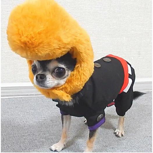 リーゼントキャップ 犬 犬用品 コスプレ 学生 ペット 帽子 小型犬 中型