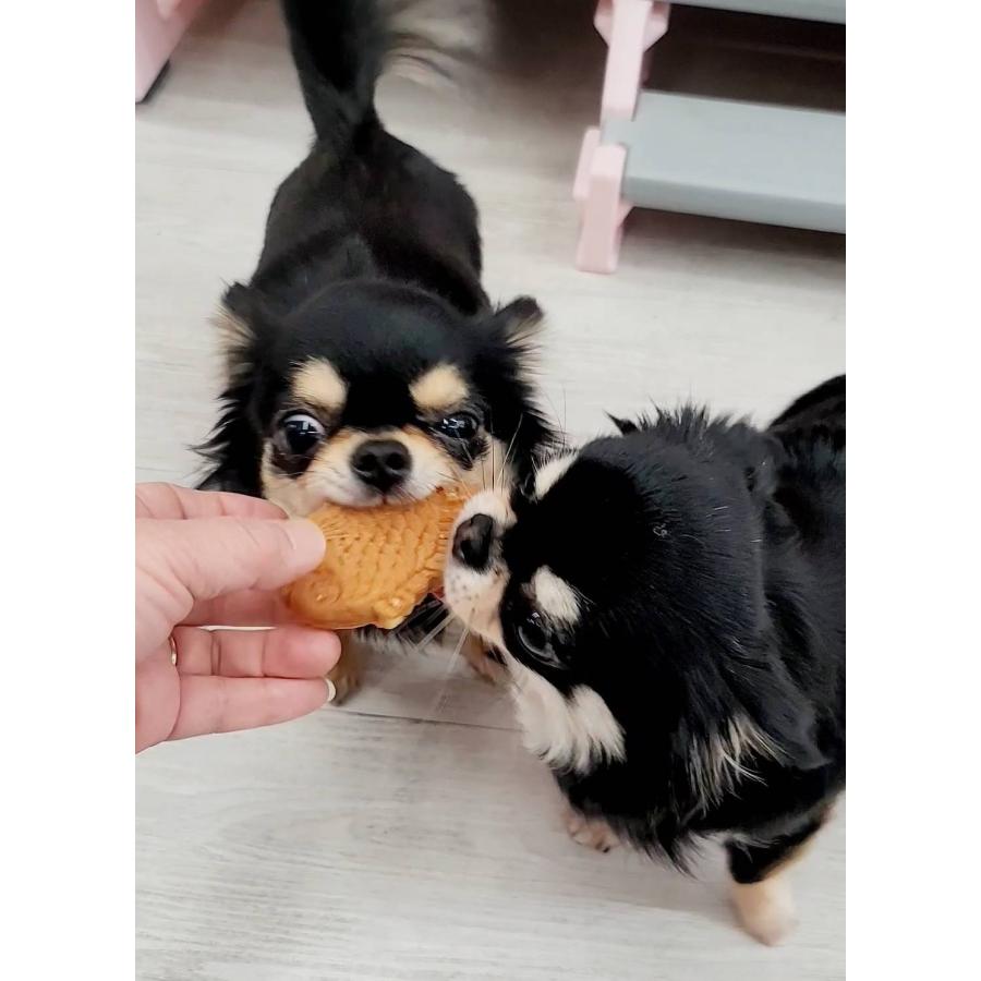 美術品・アンティーク・コレクション 犬に鯛 焼物