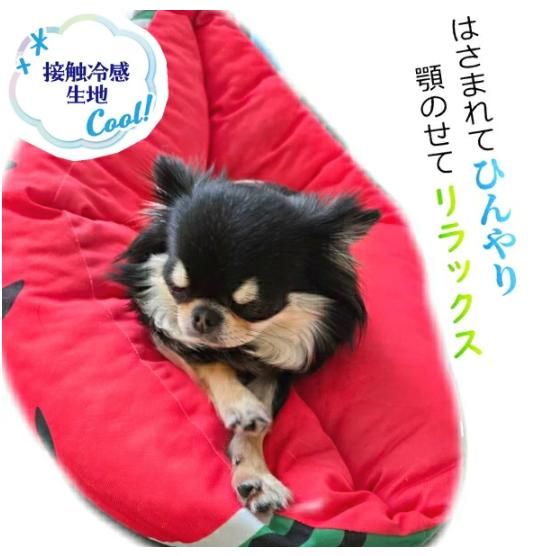 Petio（ペティオ） 犬ベッド 犬猫用ベッド ひんやりサマーベッド