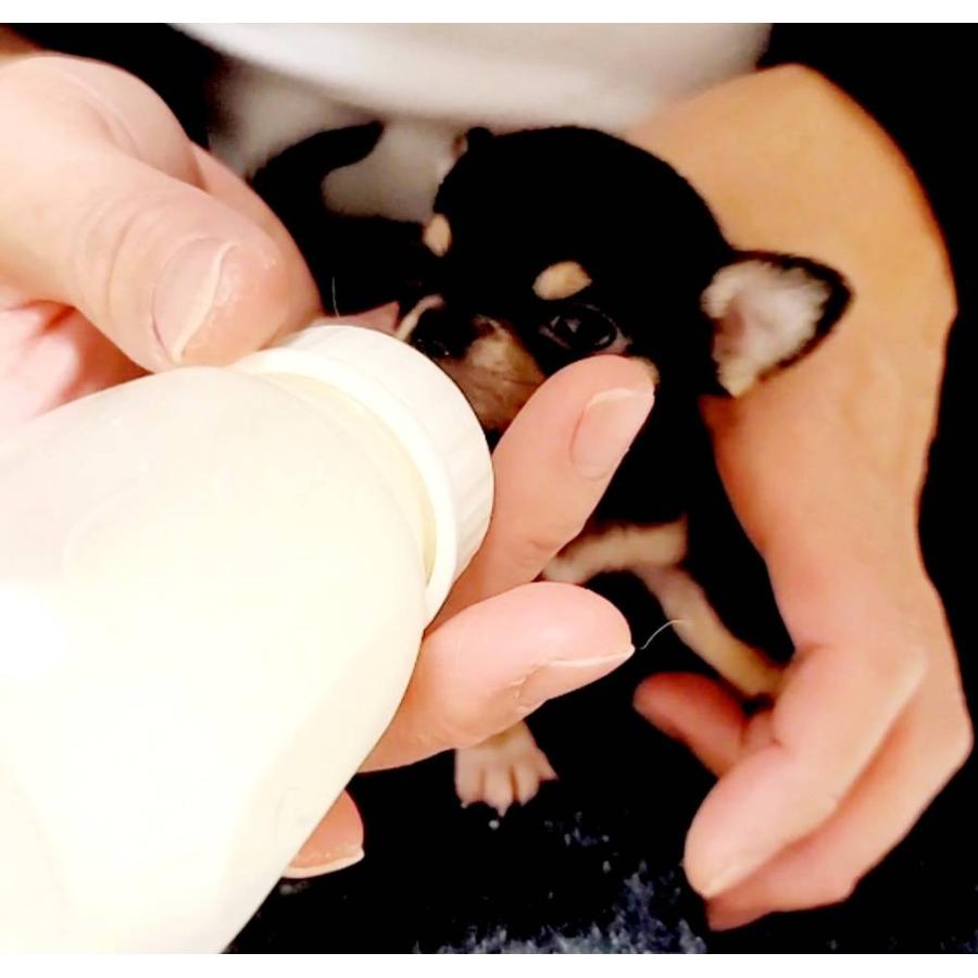 ニチドウ DR.PROベビーミルクスーパーIGP 幼犬用 犬のミルク 粉ミルク