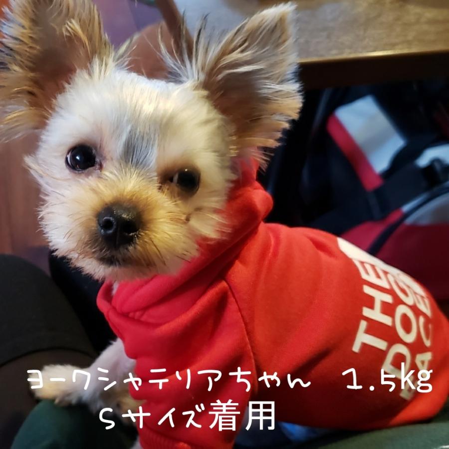 オンライン限定商品】 ドッグフェイス 赤 レッド XSサイズ 小型犬 猫 動物 スポーツウェア かわい ドッグフェイス 赤 レッド XSサイズ 小型犬 猫 動物 スポーツウェア かわい