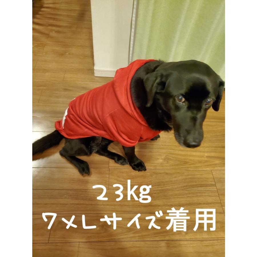 パーカー　犬服　THE　DOG　FACE  ドッグフェイス ペットウェア 　秋冬　おしゃれ　トレーナー　犬　冬服　大型犬　中型犬　超大型犬　3L〜9Lサイズ　　｜merrily｜18